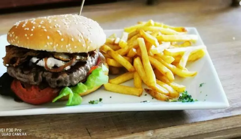 فندق Hôtel Pedussaut