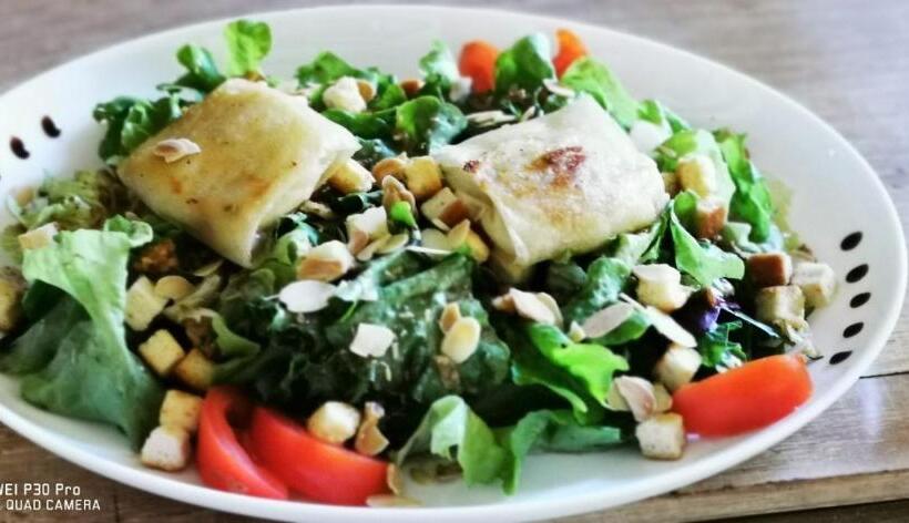 فندق Hôtel Pedussaut