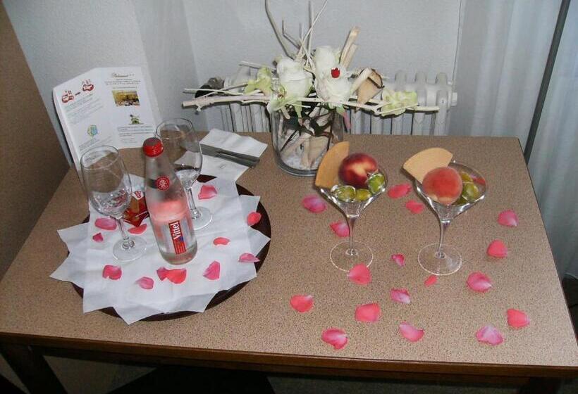 فندق Hôtel Pedussaut