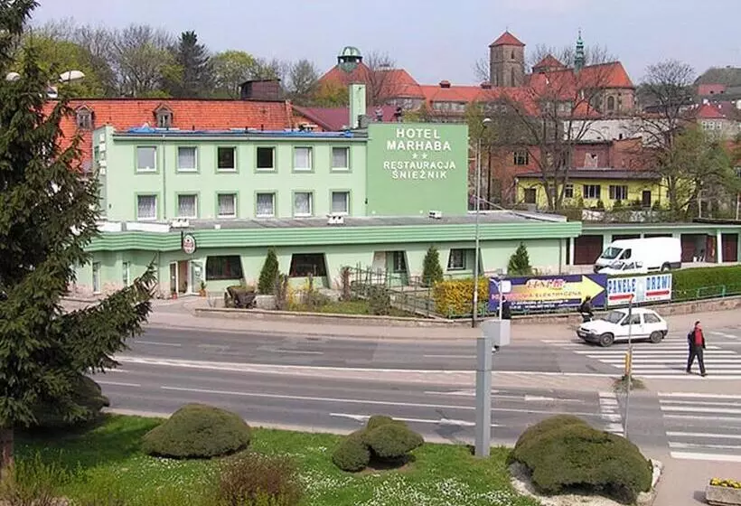 בית מלון כפרי śnieżnik