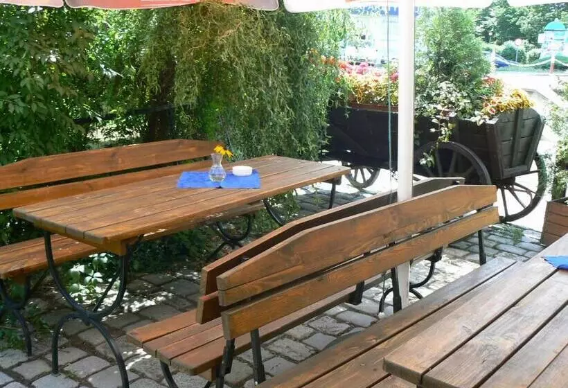 בית מלון כפרי śnieżnik