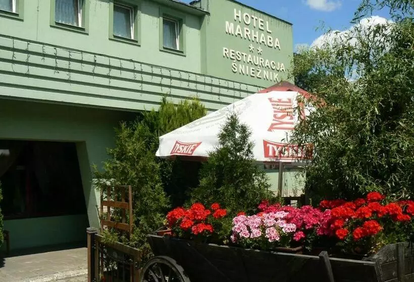 בית מלון כפרי śnieżnik