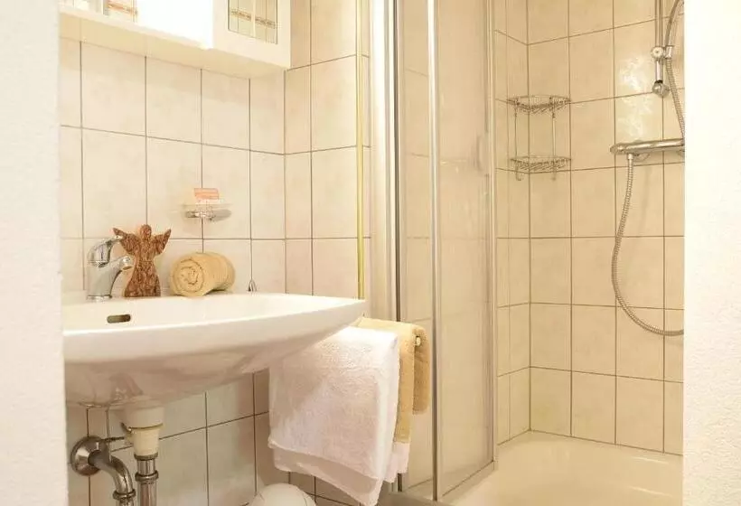 호텔 Pension Lichtspitze