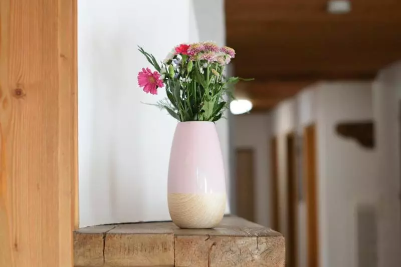 호텔 Pension Lichtspitze