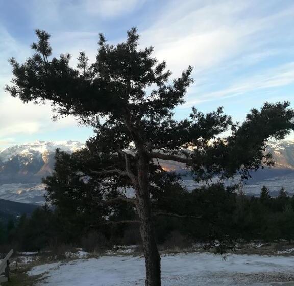 فندق Rifugio Predaia Ai Todesci