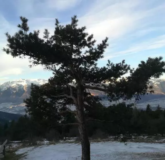 酒店 Rifugio Predaia Ai Todesci