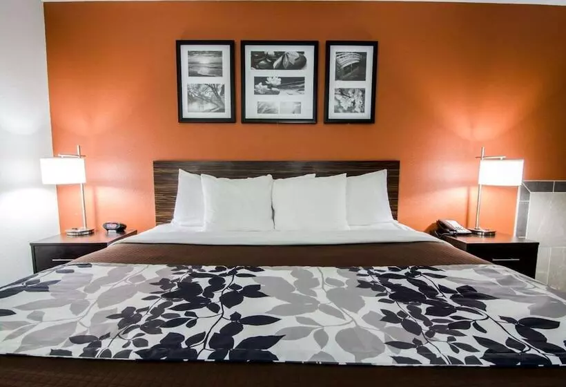 ホテル Sleep Inn & Suites And Conference Center Downtown