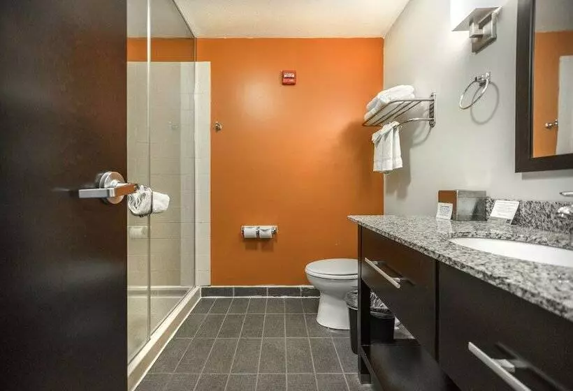 ホテル Sleep Inn & Suites And Conference Center Downtown