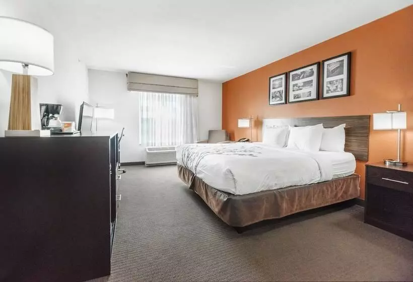 ホテル Sleep Inn & Suites And Conference Center Downtown
