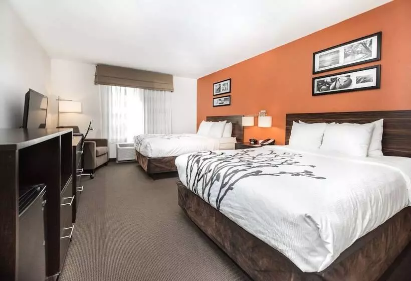 ホテル Sleep Inn & Suites And Conference Center Downtown