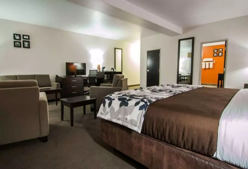 ホテル Sleep Inn & Suites And Conference Center Downtown