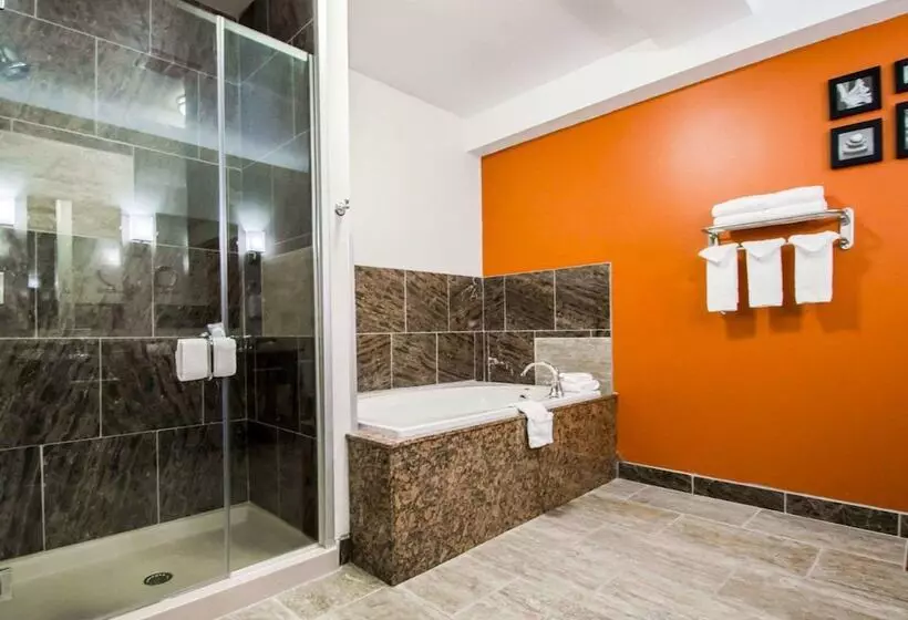 ホテル Sleep Inn & Suites And Conference Center Downtown