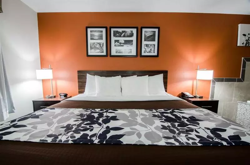 ホテル Sleep Inn & Suites And Conference Center Downtown