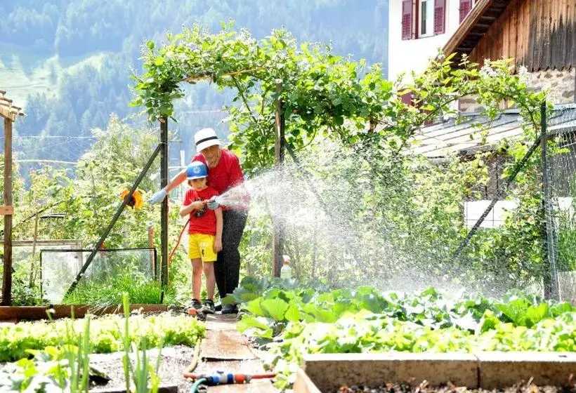 Отель Traube   Stelvio