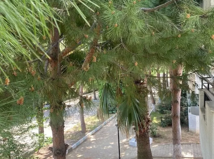 The Palm Club Apart Otel