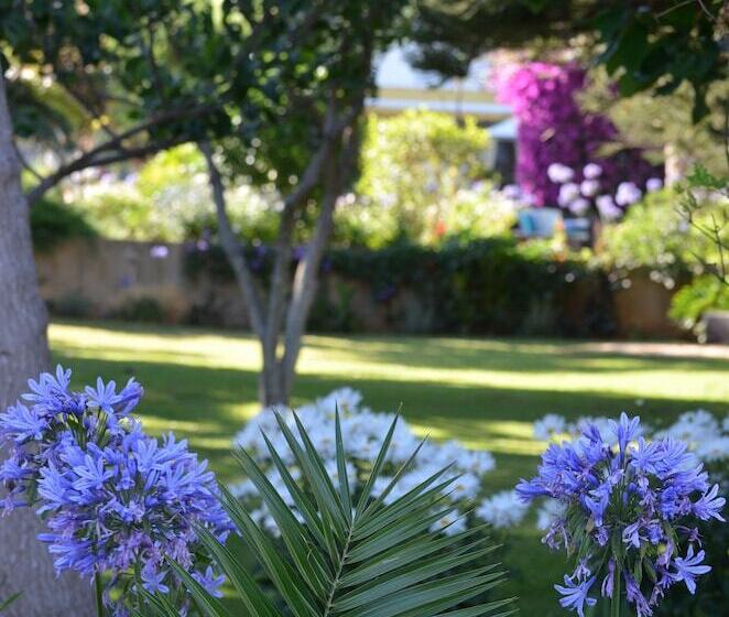 Cosy Decorated Studio At Quinta Paraiso Da Mia
