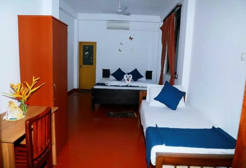 پانسیون Golden Surfer Beach