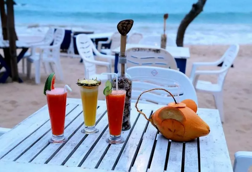 پانسیون Golden Surfer Beach