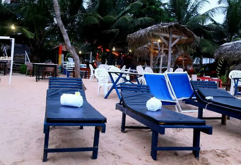 پانسیون Golden Surfer Beach