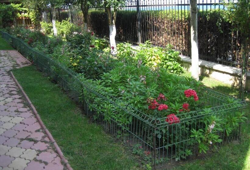 پانسیون V3 Villa