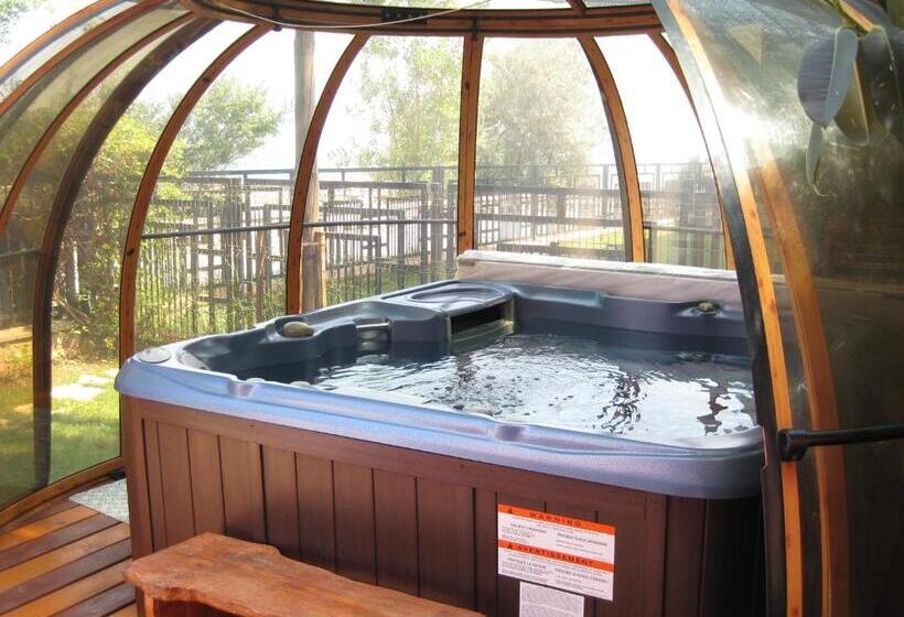 پانسیون V3 Villa