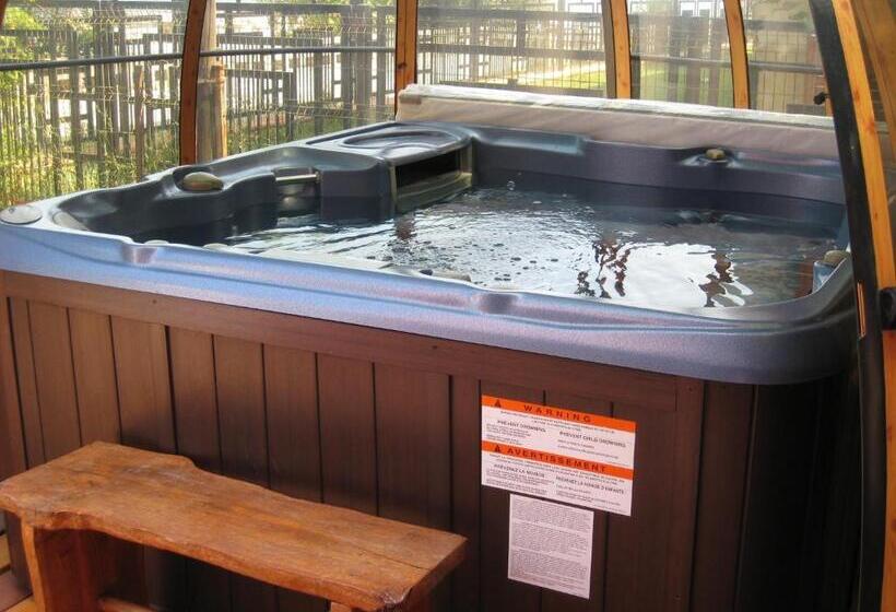 پانسیون V3 Villa