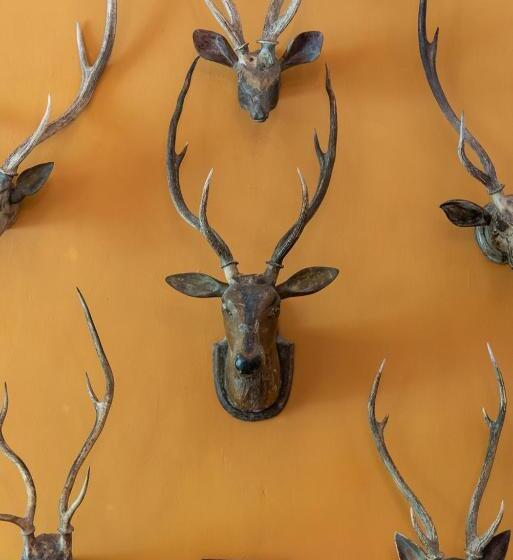 민박 D Canal House