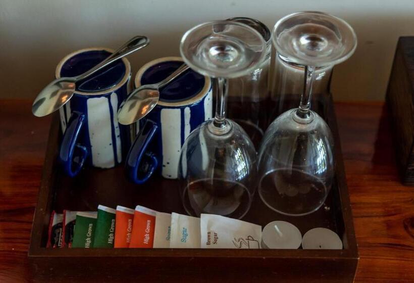 민박 D Canal House