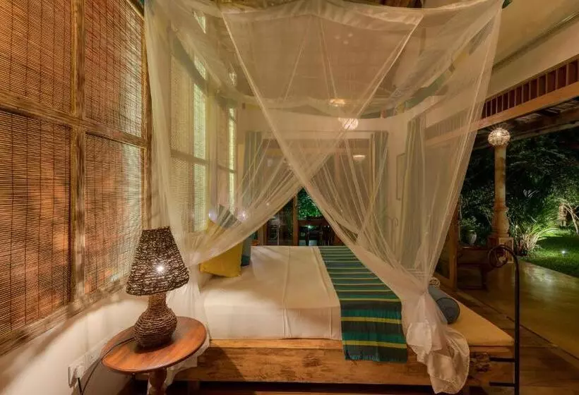 تختخواب و صبحانه D Canal House