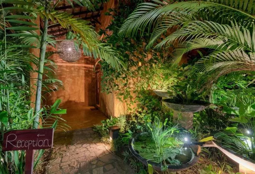 تختخواب و صبحانه D Canal House