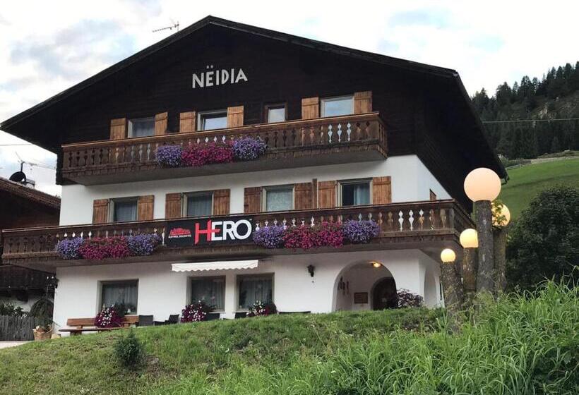 住宿加早餐 Garní Nëidia