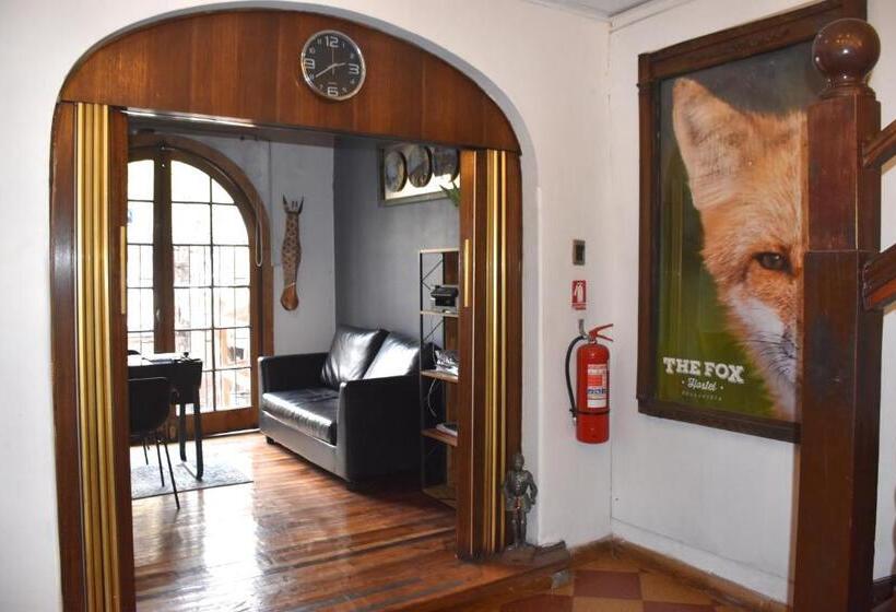 פנסיון The Fox Hostel