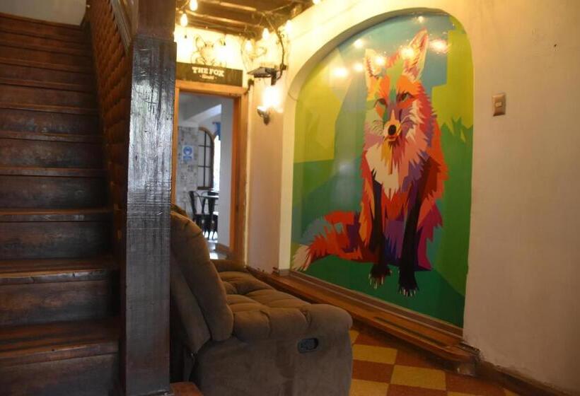 פנסיון The Fox Hostel