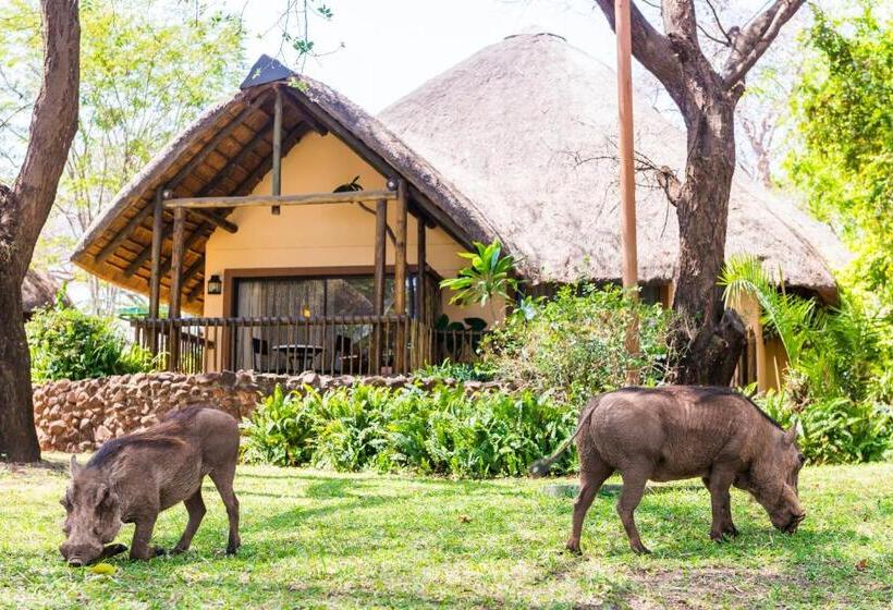استراحتگاه Chobe Marina Lodge