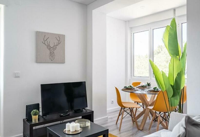 Akicity Campolide Hope