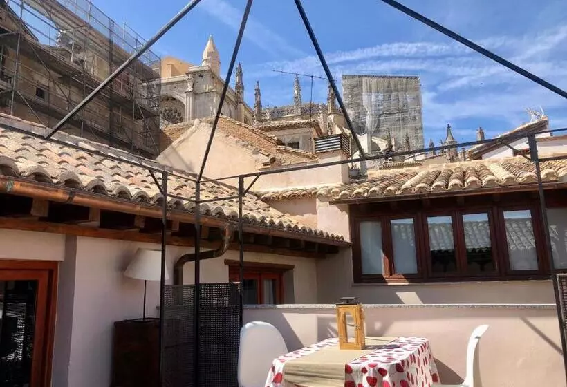 Apartamento Canónigo   Terraza Con Vistas