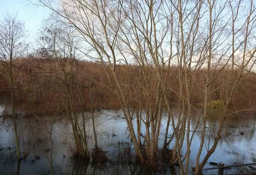 Cabaña Habitainer Borderio 3