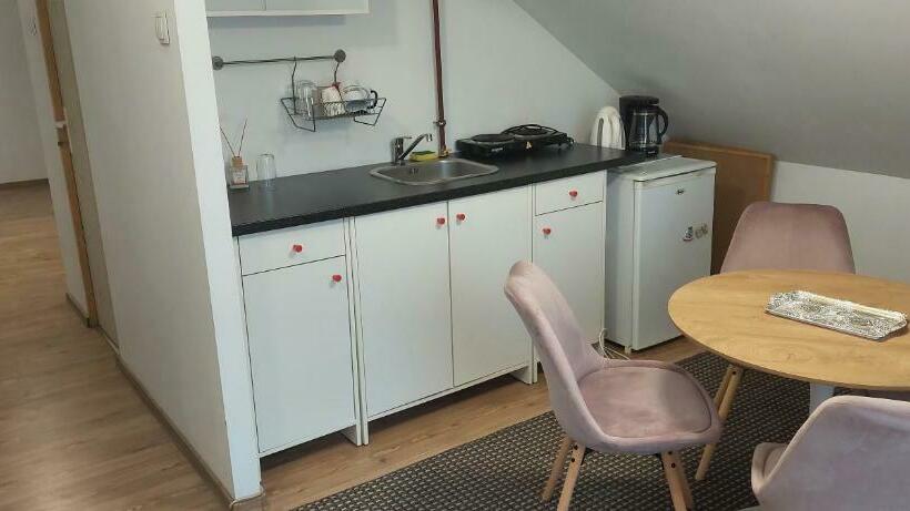 Central Palace Iași Apart 2