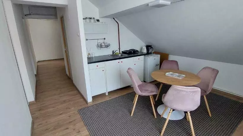 Central Palace Iași Apart 2