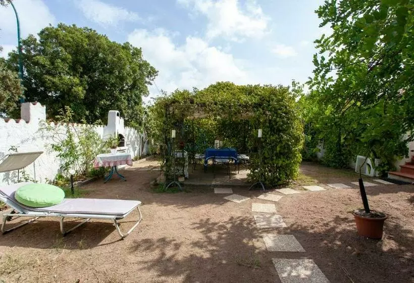 Rosalba House Mare