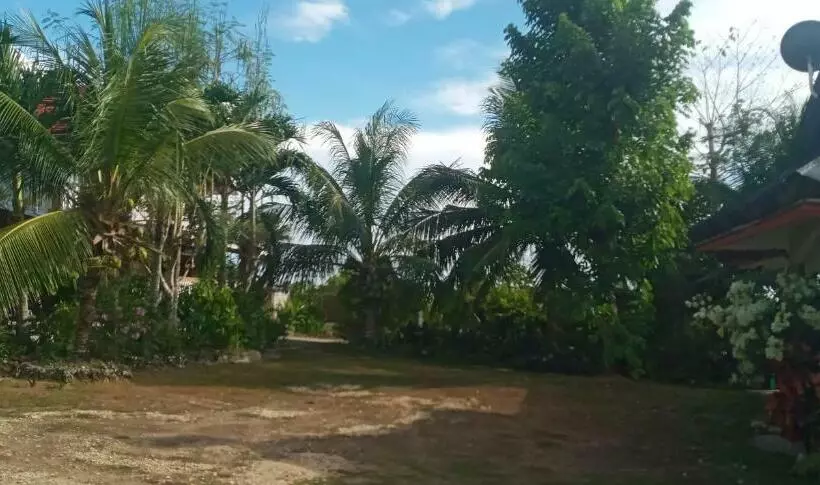 Casa James Apartment, Rooms , Pool And Restaurant