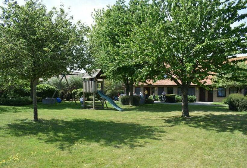 De Meiboom Vakantiehoeve Tot 21 Pers