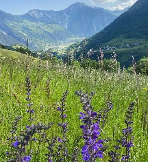 La Grange De Soulalex