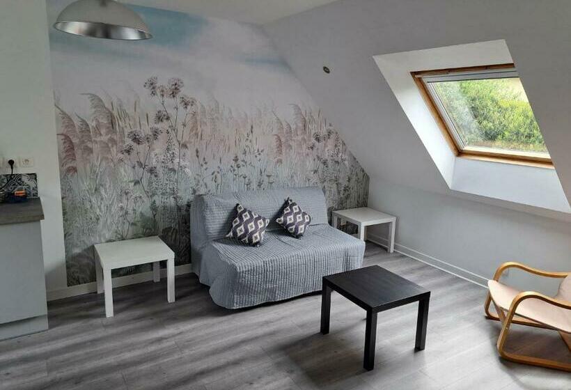 Appartements Lannion Proche Centre, Côtes De Granit Rose