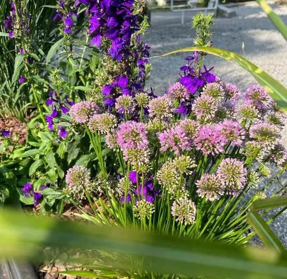 Gasthof   Auszeit Im Bad Diezlings   Adults Only