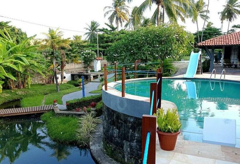 Talismã Da Taíba Perto Do Mar Dentro Da Natureza