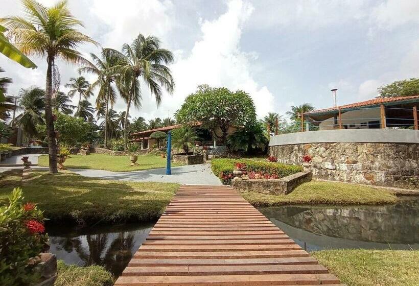 Talismã Da Taíba Perto Do Mar Dentro Da Natureza