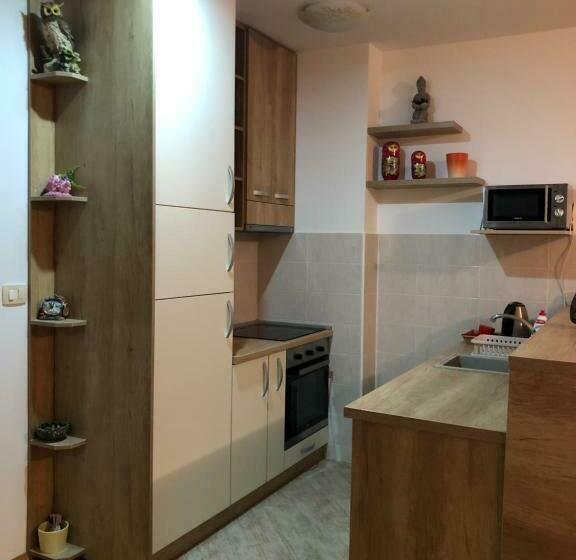 Entire Apartament With Sea View Budva
