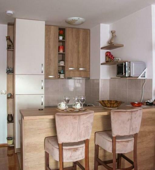 Entire Apartament With Sea View Budva