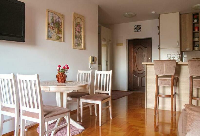 Entire Apartament With Sea View Budva